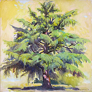 lebanon cedar tree, painting