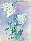 Deux fleurs blanches, chrysanthmes, tableau