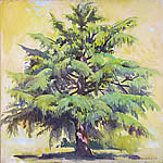 arbre de cèdre