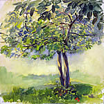 arbre avec fruits