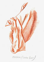 disegno larga manica