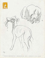 drawing Study of the dogs of the Salome’s scene